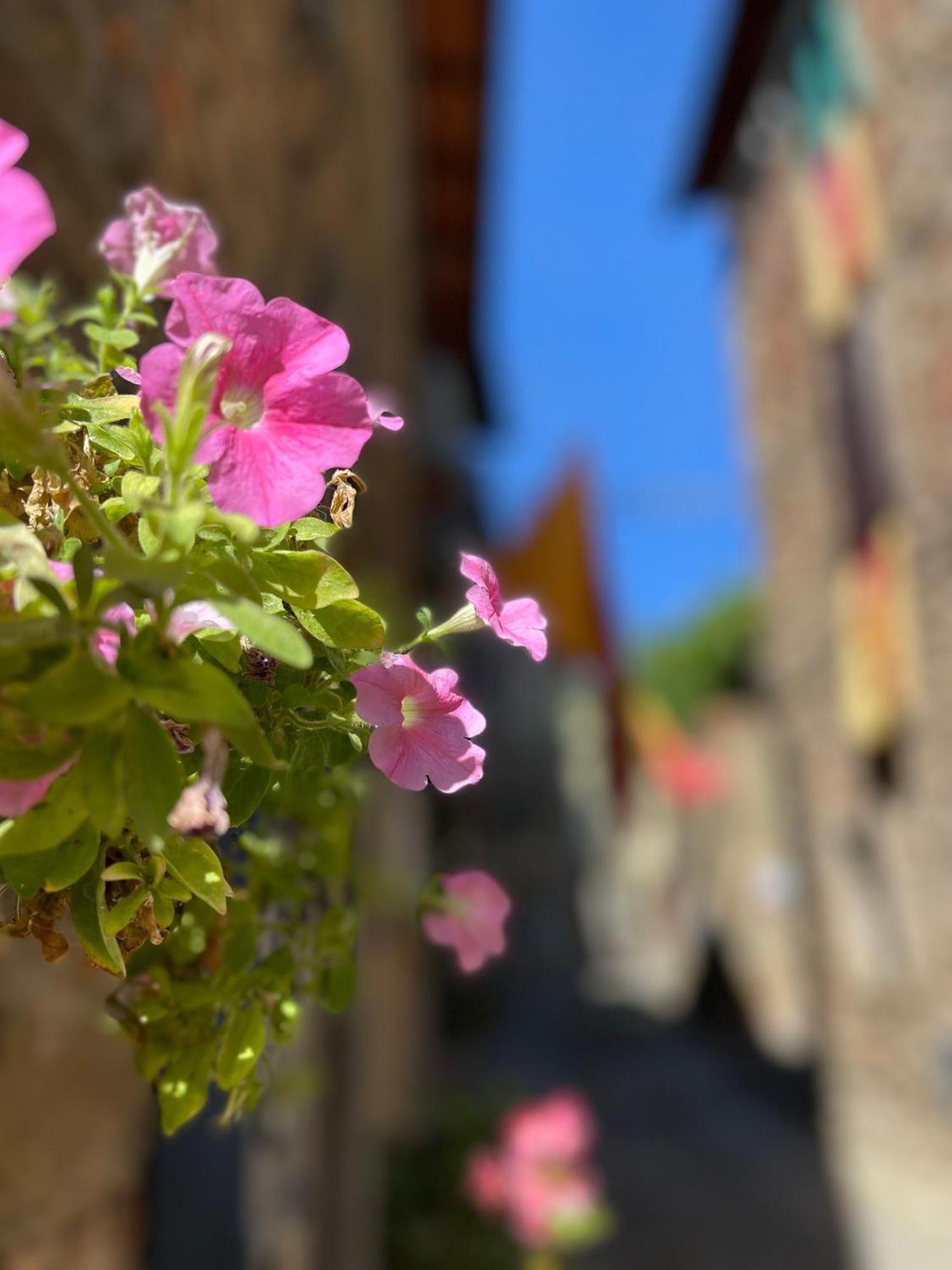 La Casa In Castello Villa Ambra ภายนอก รูปภาพ